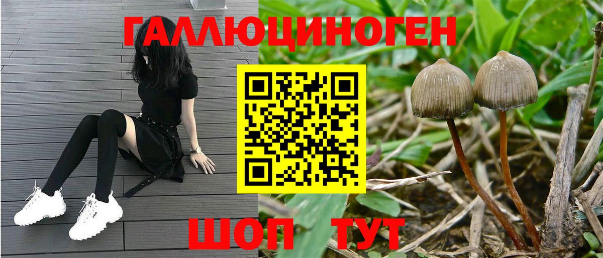 Галлюциногенные грибы Magic Shrooms Гудермес